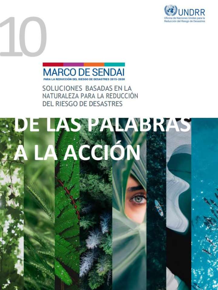 De las palabras a la acción - Soluciones basadas en la naturaleza para la RRD