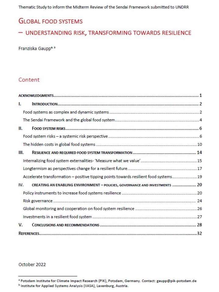 Cover- Global Food System thematic study