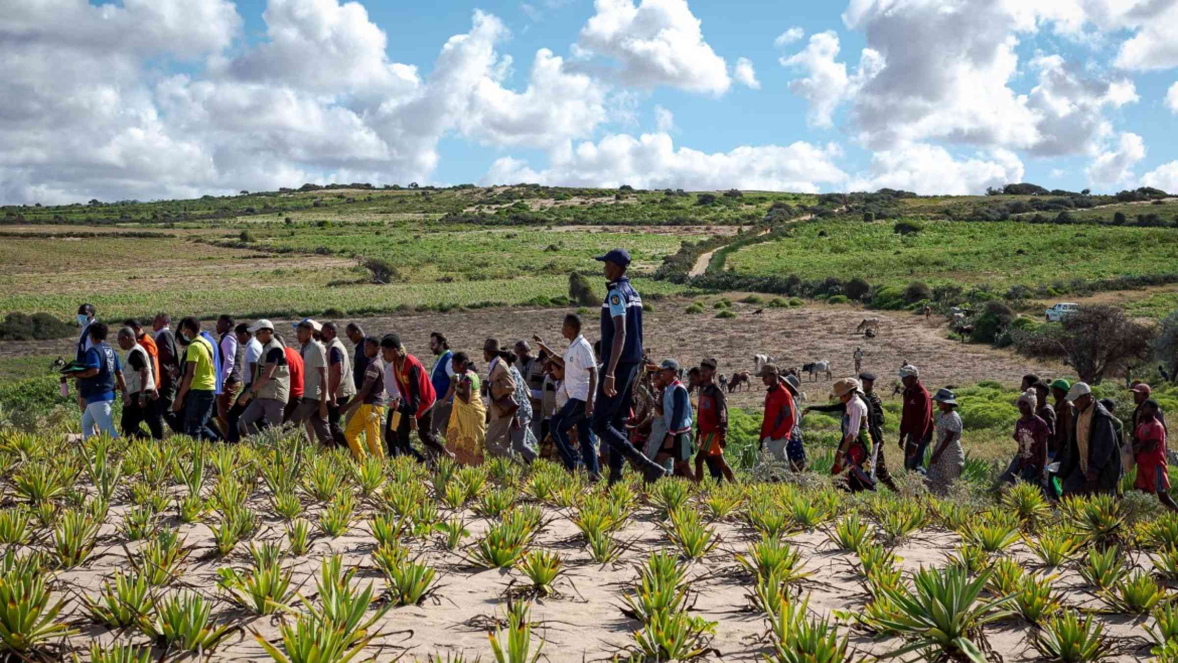 Group of people walking in a field in Madagascar