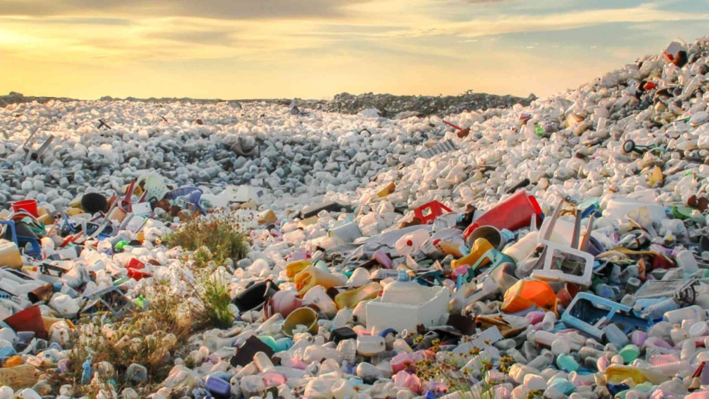 waste plastic bottles and other types of plastic waste at the Thilafushi waste disposal site