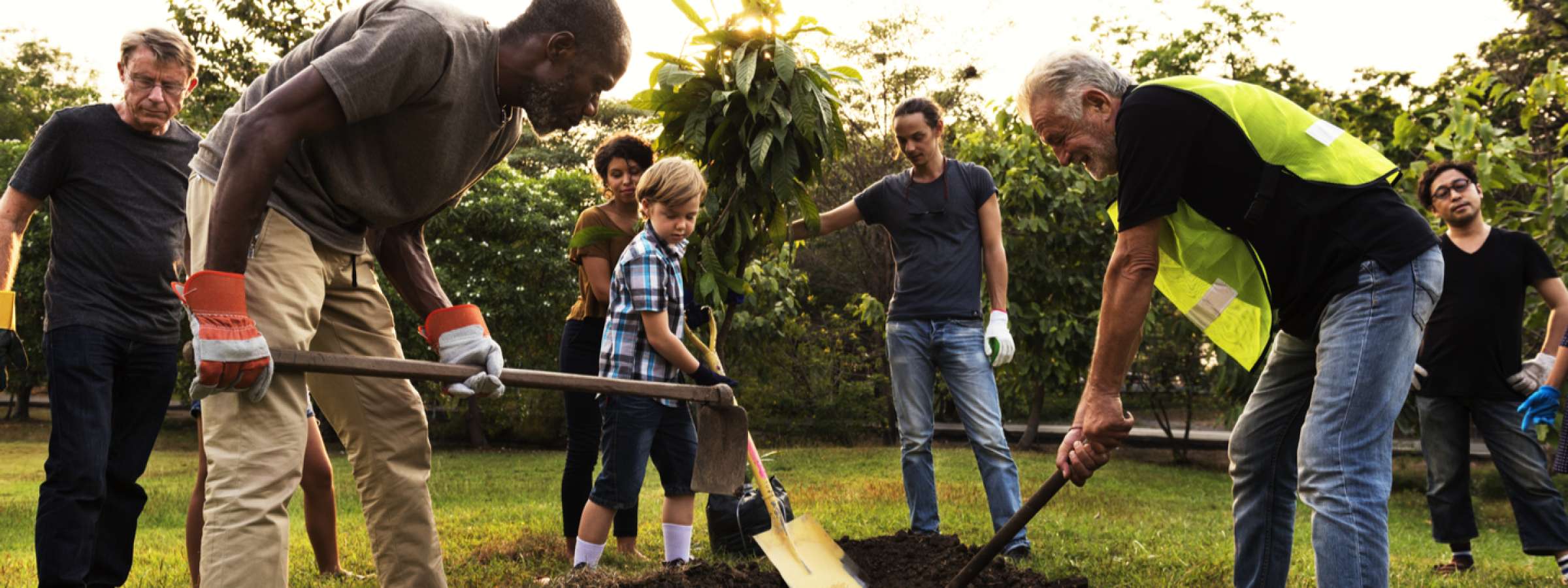 Group of diverse people planting a tree