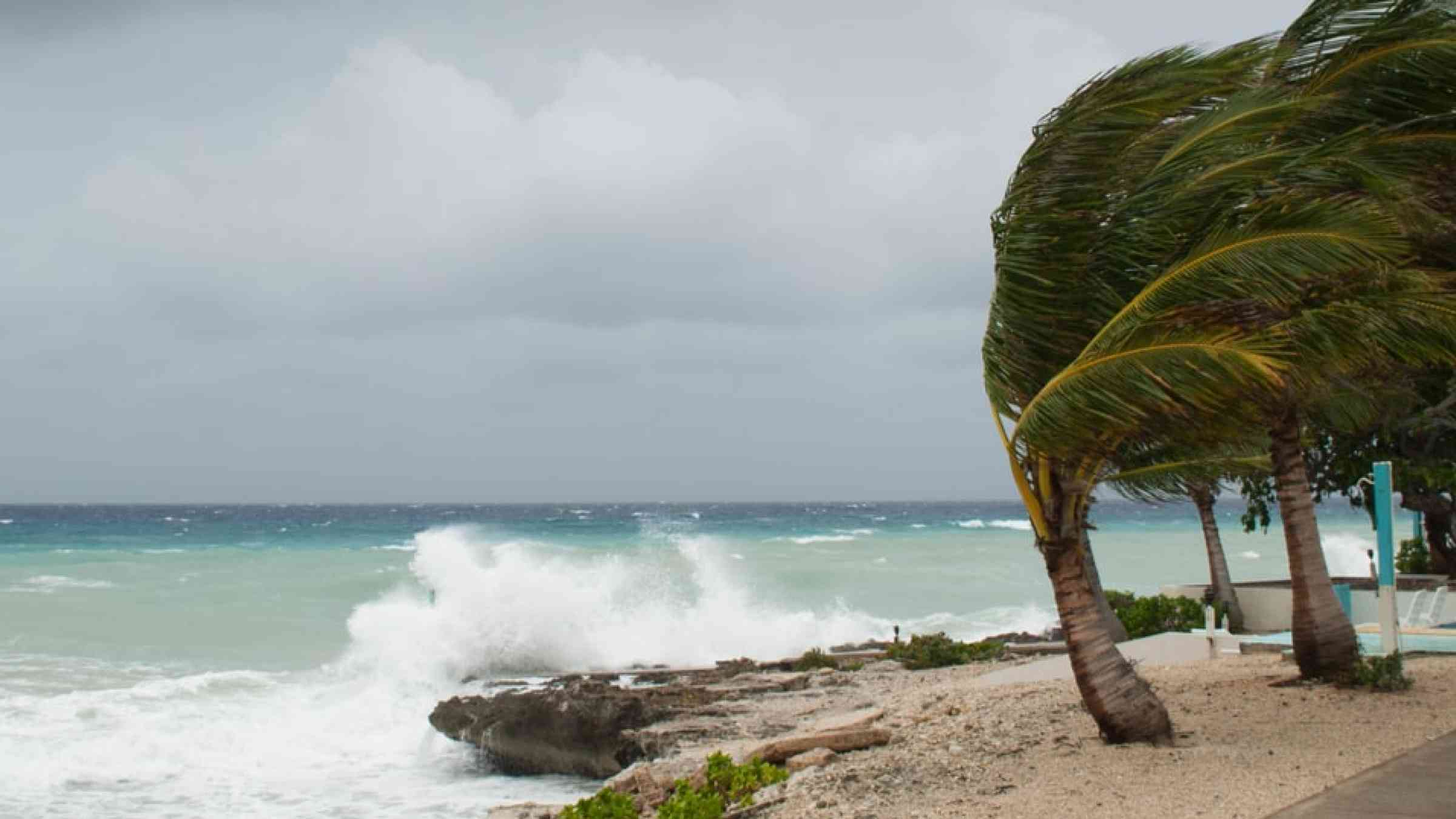 Hurricane winds battering a coast