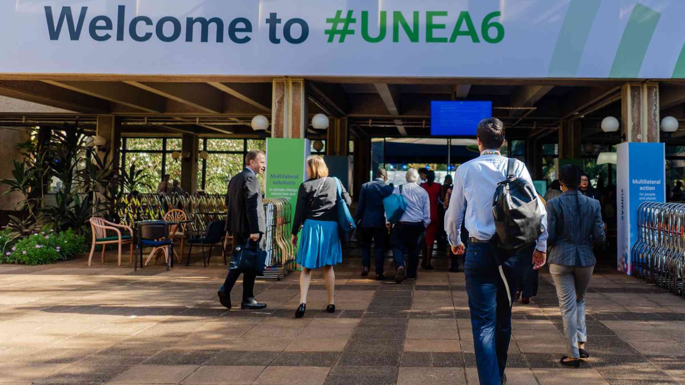 UNEA 6 entrance