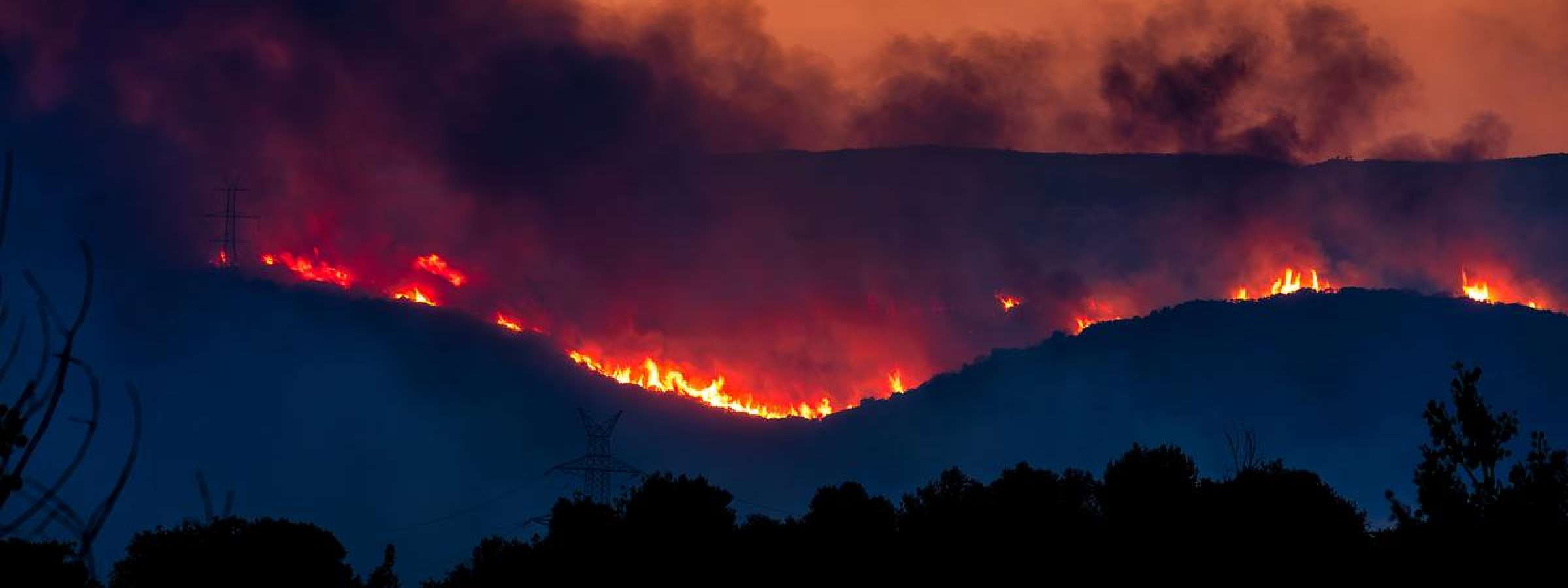 Forest fire in the prefecture of Evros in northern Greece, 21 August 2023